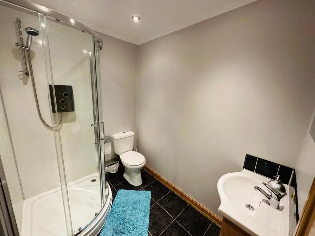 a bathroom with a shower and a toilet and a sink at The Old Salt House, Flat1 in Wick