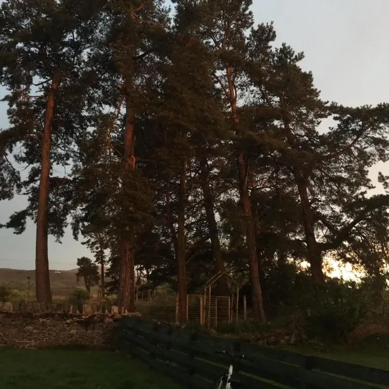 a bike parked in front of a group of trees at Columba House in Kingussie