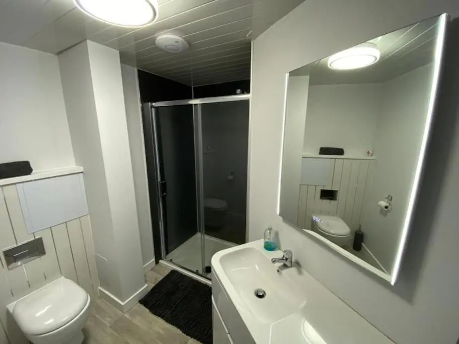 a bathroom with a shower and a toilet and a sink at Modern Apartment - Wick Harbour in Wick