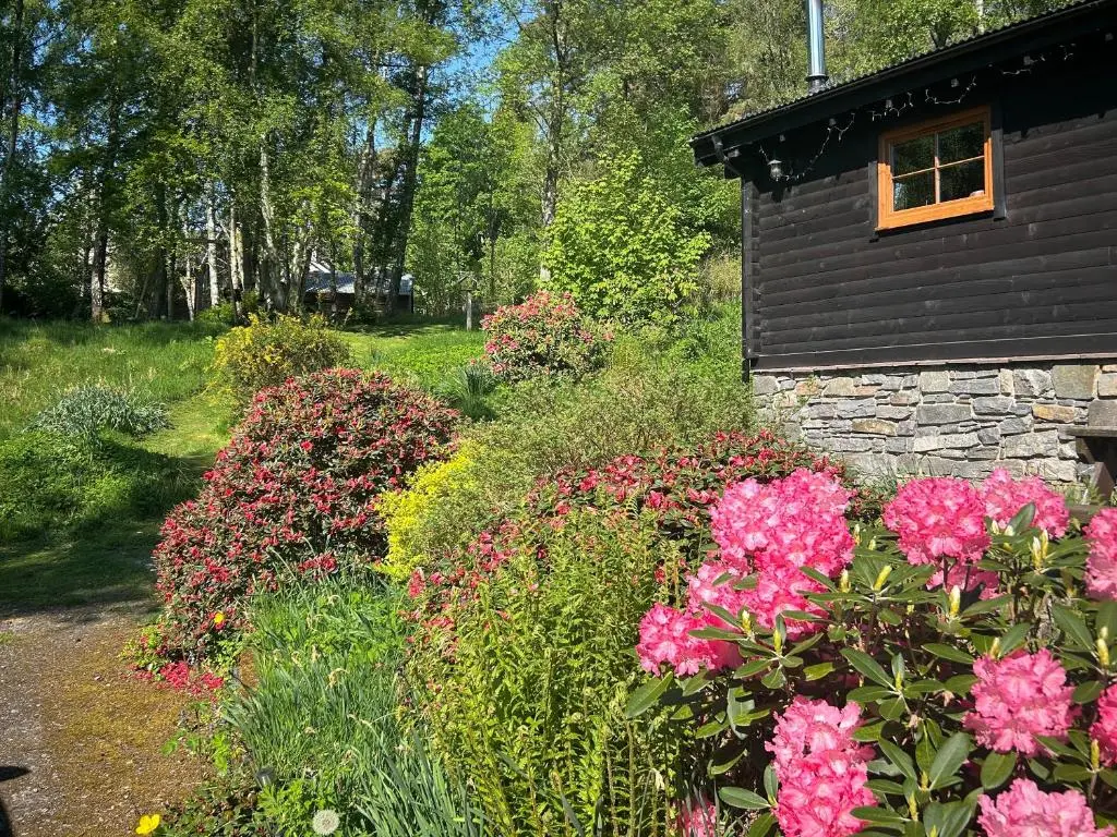 a garden with pink flowers next to a building at Squirrel View in Newtonmore