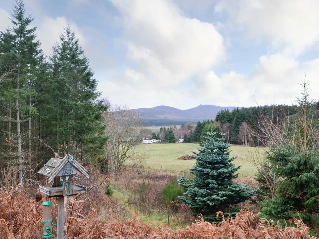 a bird house in the middle of a field at Park Lodge in Strachan
