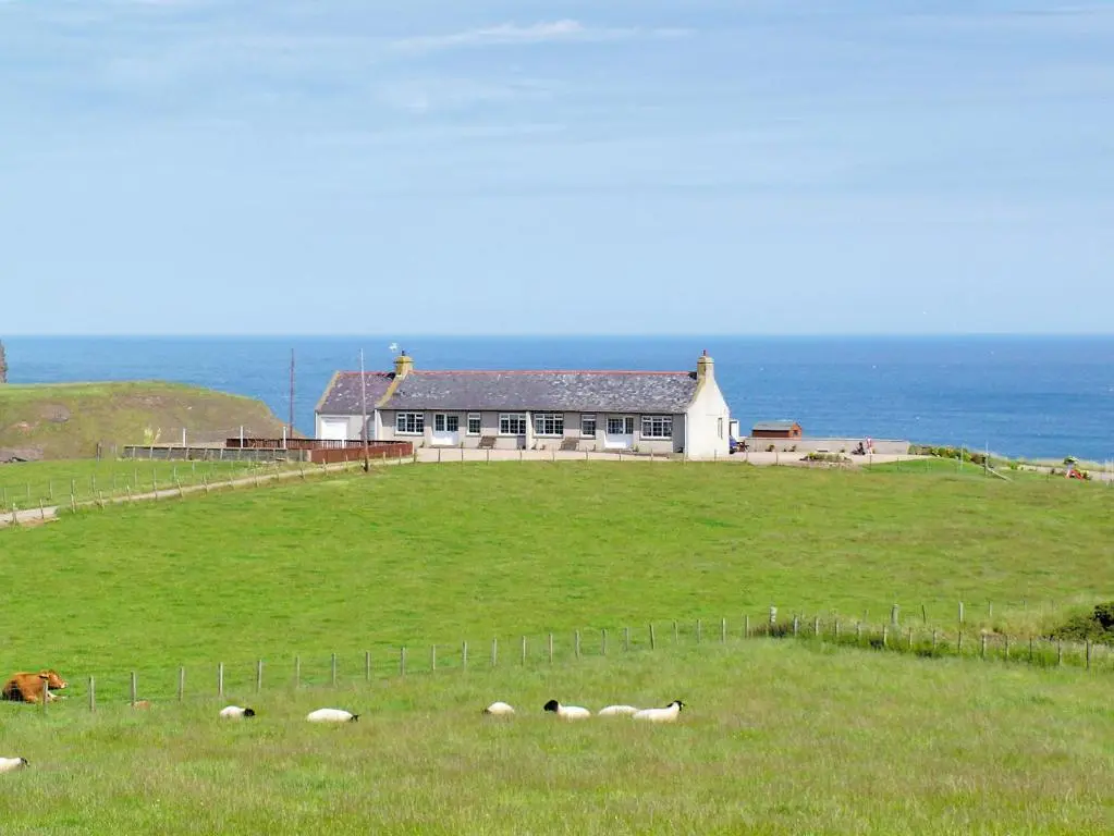 a herd of sheep laying in a field in front of a house at Pennan Lodge - 26818 in Pennan
