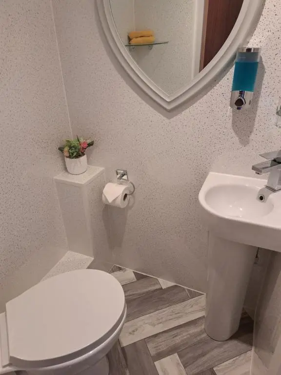 a bathroom with a toilet and a sink and a mirror at No 27 in Inverness