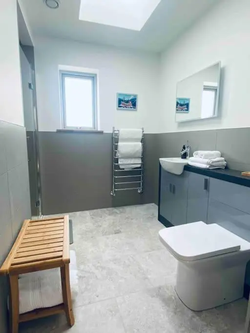 a bathroom with a toilet and a sink at Lily Cottage - 1 bedroom in Forres