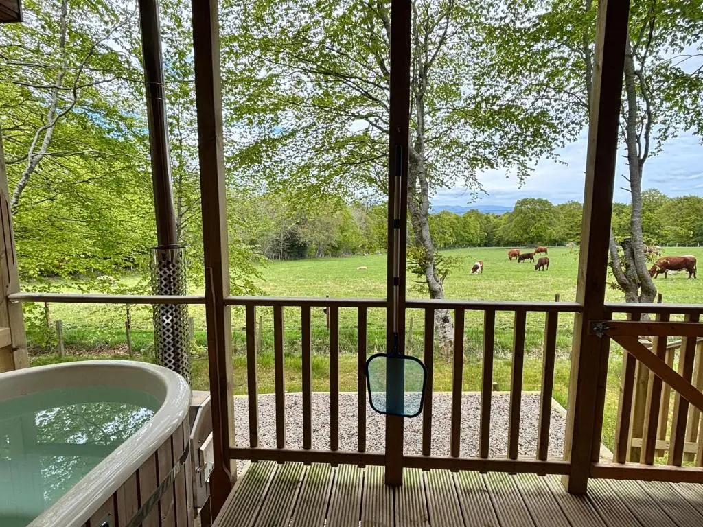 a porch with a tub and a field of cows at Breckland Lodge 3 with Hot Tub in Belladrum