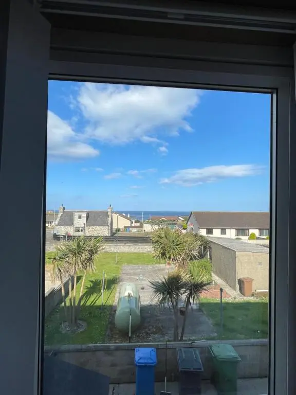 a window with a view of a yard with palm trees at Impala Guest House in Wick
