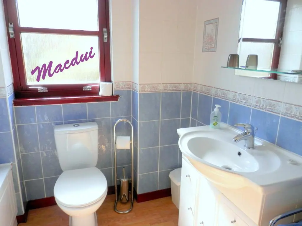 a bathroom with a toilet and a sink at Cairngorm Highland Bungalows in Aviemore