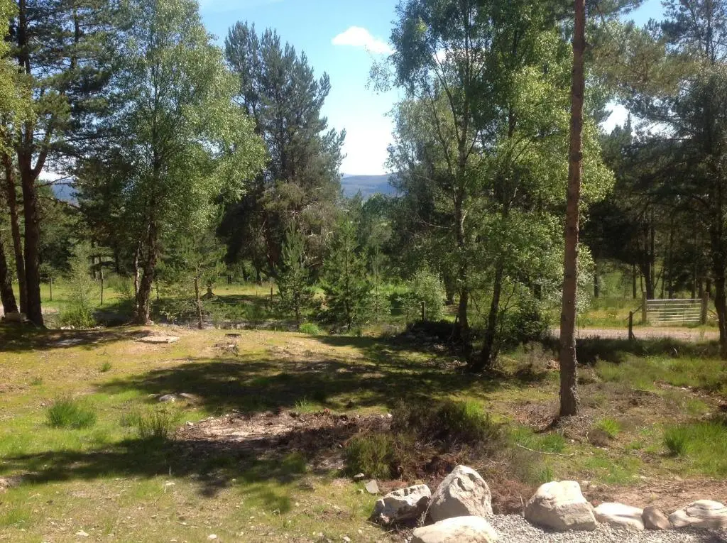 a view of a field with trees and rocks at Camping Pod Heaven in Brackla