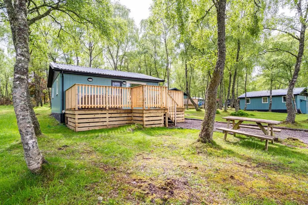 a cabin in the woods with a picnic table and a bench at Bracken Lodge 15 with Hot Tub in Belladrum