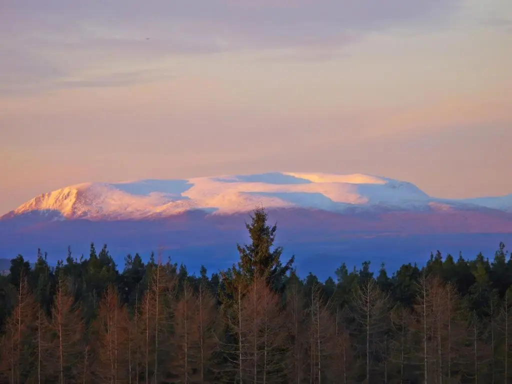 a mountain in the distance with trees in the foreground at Tigh-Na-Sgoile in Belladrum