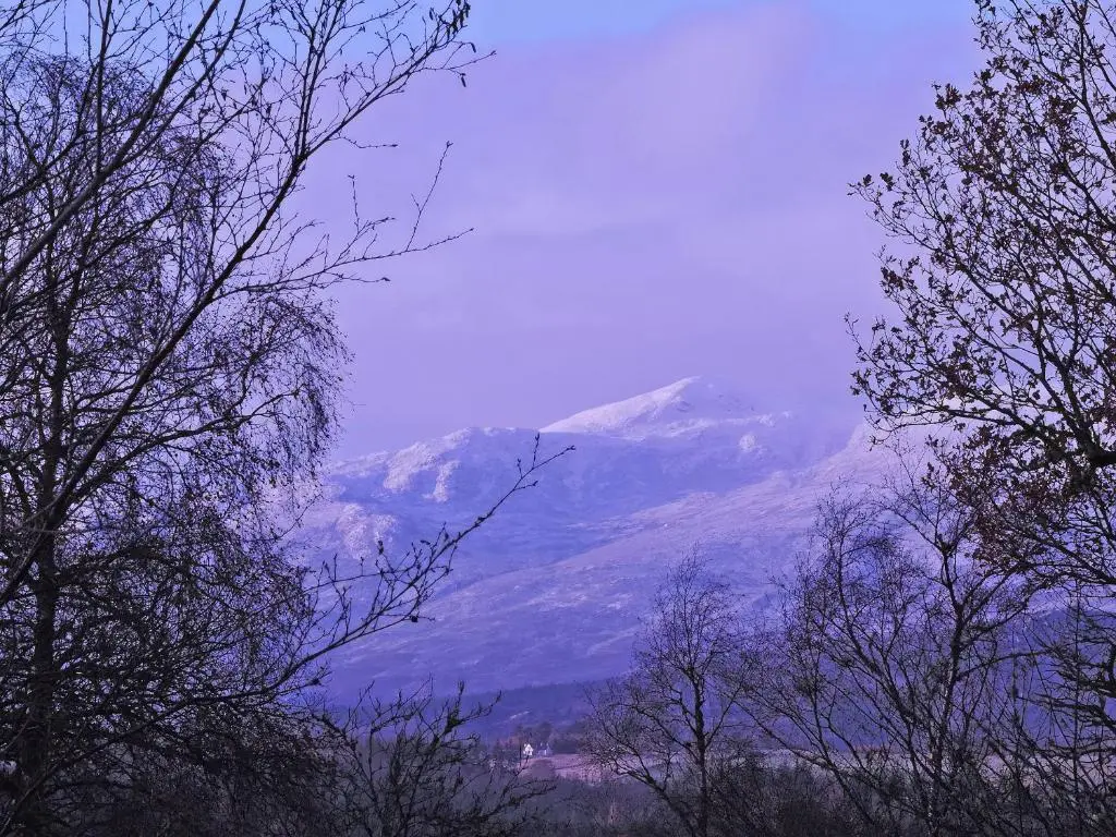 a snow covered mountain in the distance behind trees at Tigh-Na-Sgoile in Belladrum