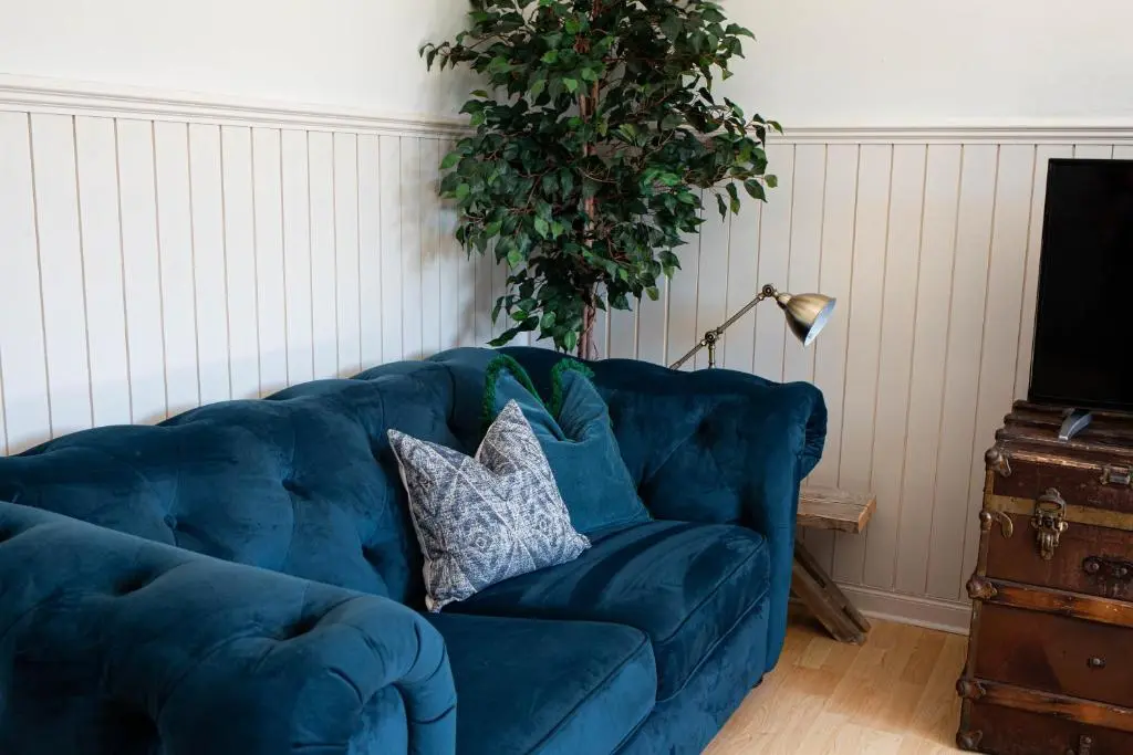 a blue couch in a living room with a plant at The River Nest in Dalneigh