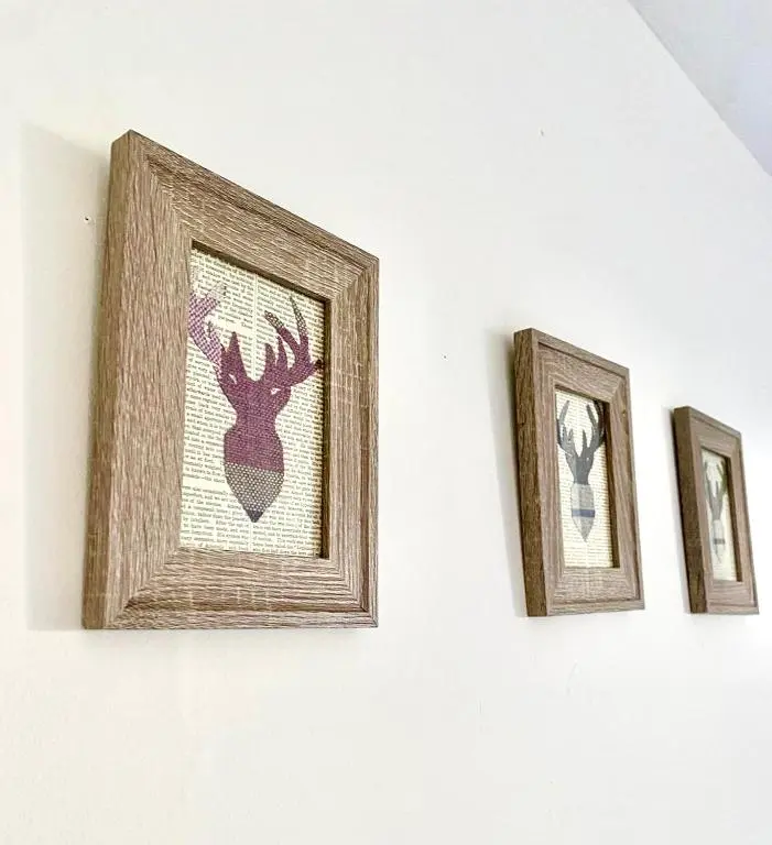 three pictures on a white wall with a picture of a deer at Bruachdryne Braemar Accommodation in Braemar