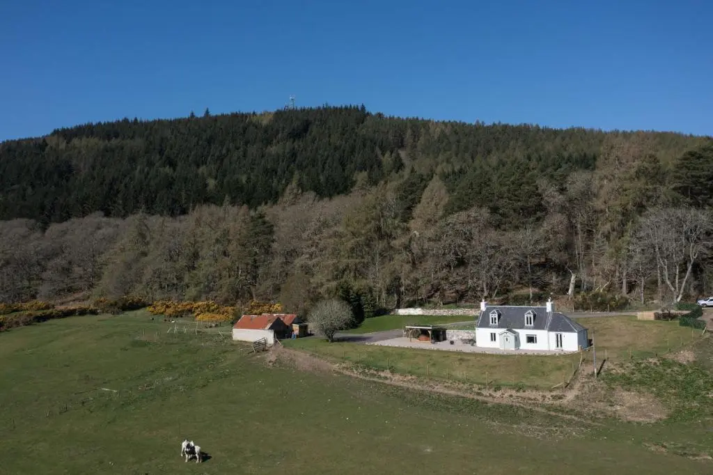 a house on a hill with a cow in a field at Balnacraig Farmhouse in Inverness