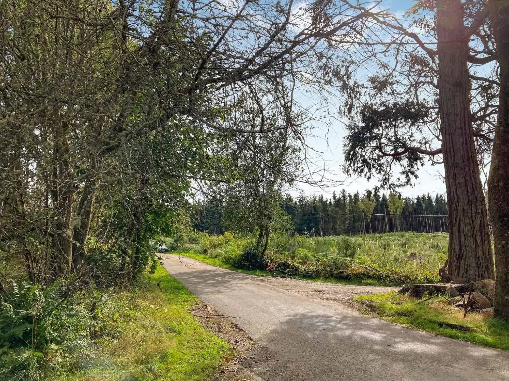 a road with trees on the side of it at South Lodge in Banchory