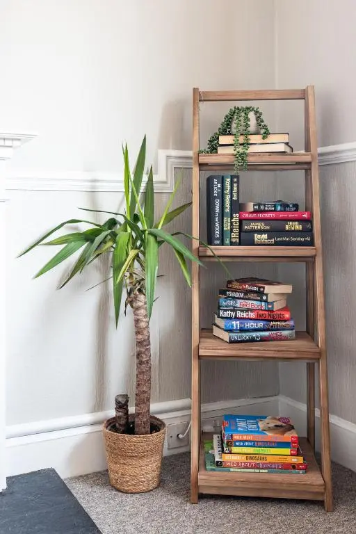 a book shelf with books and a potted plant at Sweet Ness River Flat in Inverness