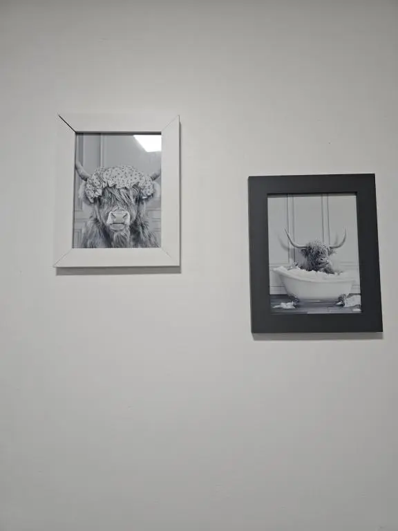 two pictures of a dog and a bowl on a wall at Serviced Apartment - Aberdeen in Dyce