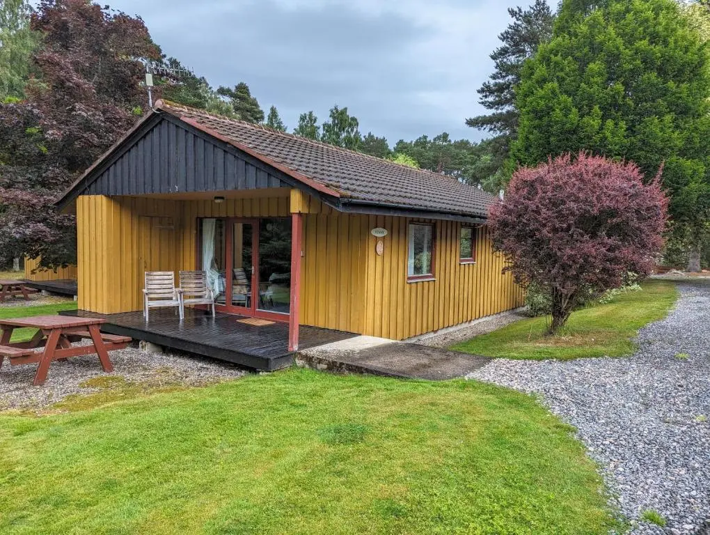 a small yellow cabin with a picnic table and a bench at Reuben's Highland Retreat - Speyside in Carrbridge