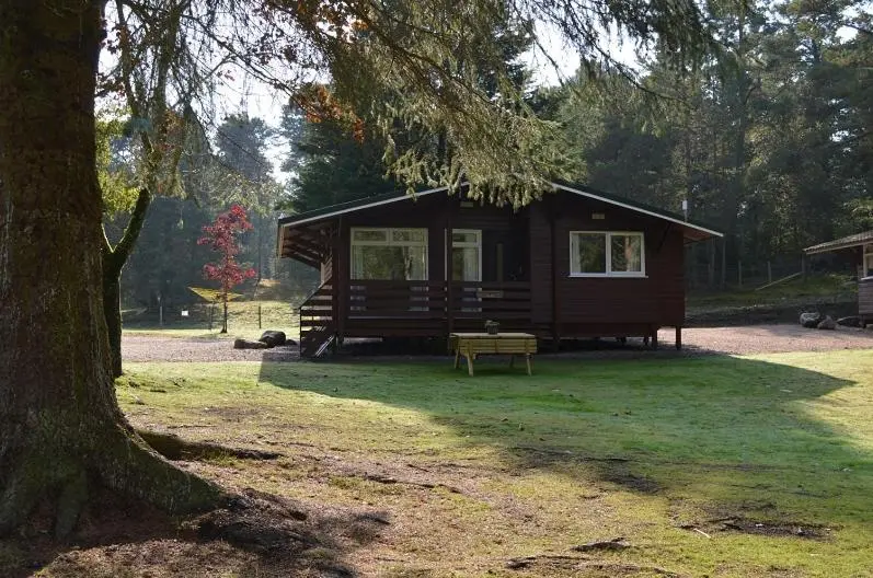 a log cabin with a bench in front of a tree at Reuben's Highland Retreat - Speyside in Carrbridge