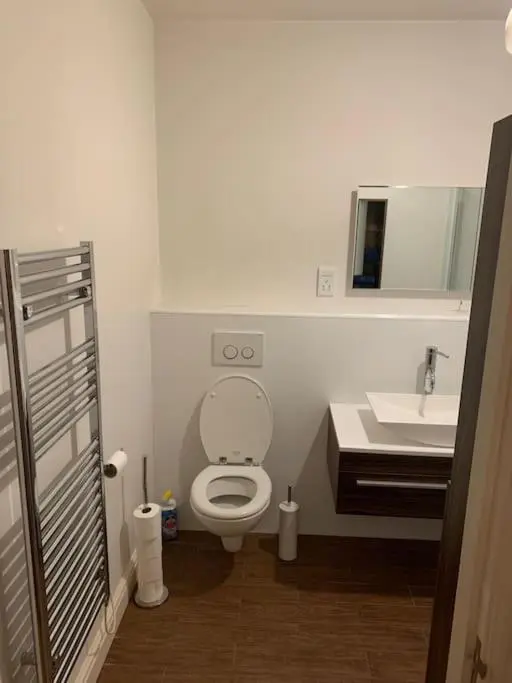 a bathroom with a toilet and a sink at The old post office in Golspie