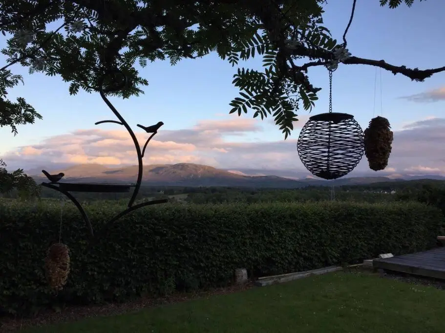a bird feeder hanging from a tree with a view at Upper Corronich in Boat of Garten