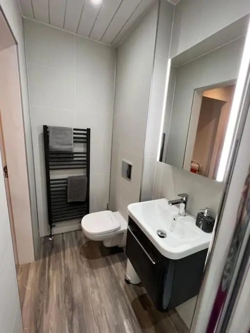 a bathroom with a sink and a toilet and a mirror at Kingsmills Apartment in Inverness