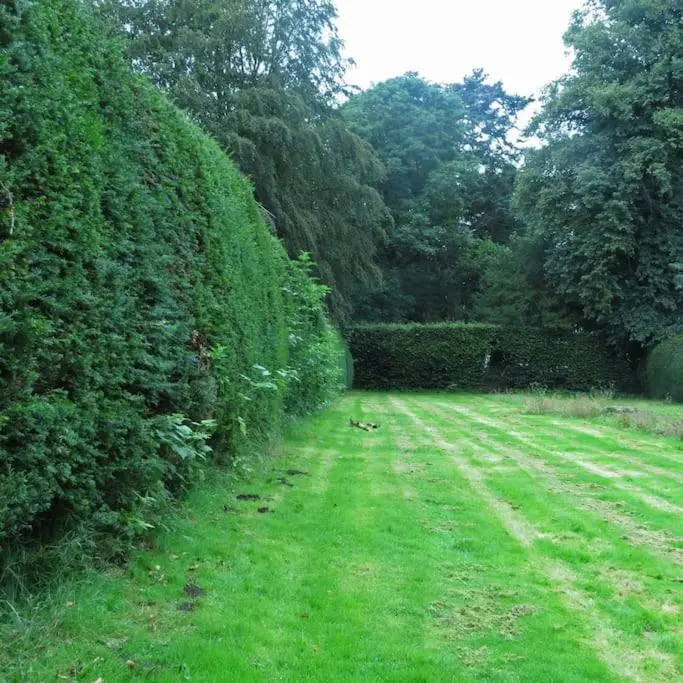 a garden with a hedge and a grass field at River Cottage in Turriff
