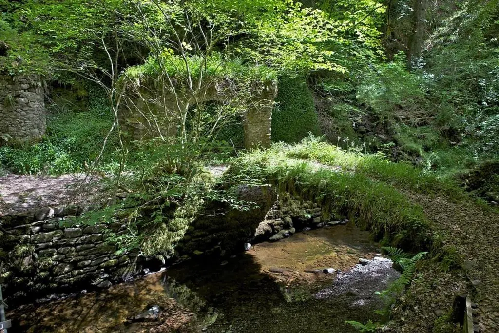 a stone bridge over a stream in a forest at Satchwell Chalet on Reelig Estate - Dog Friendly in Kirkhill