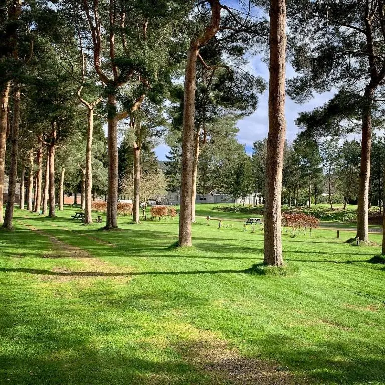 a group of trees in a park with green grass at The Ghillie's Van - Beautiful, luxury static caravan in Aberlour