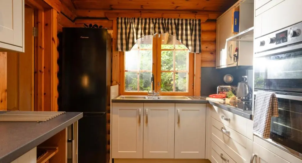 a kitchen with a black refrigerator and a window at Beaver Creek Lodge in Aviemore