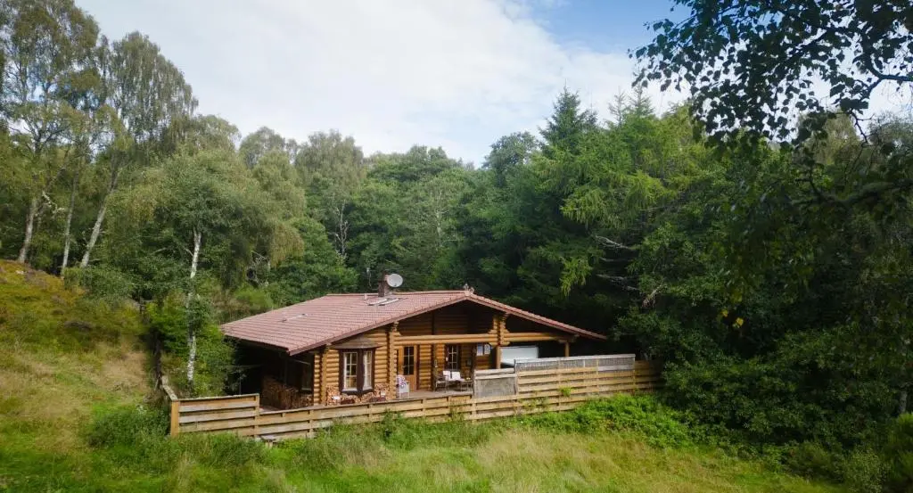 a log cabin in the middle of a forest at Beaver Creek Lodge in Aviemore