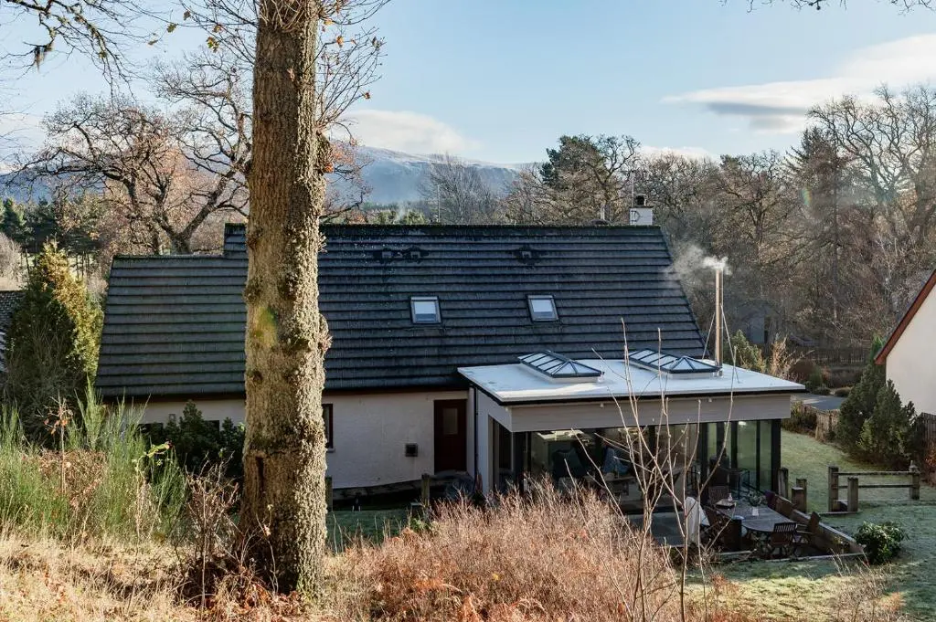 a house with a roof with windows and a tree at Oak Cottage - Seasgair Lodges in Kincraig