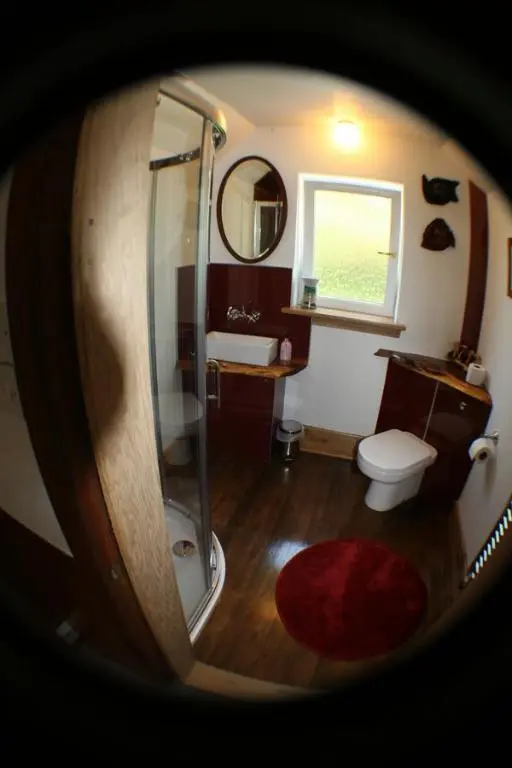 a bathroom with a shower and a toilet and a sink at The Whitehouse in Dingwall