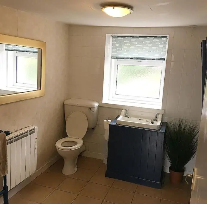 a bathroom with a toilet and a sink and a window at Traditional Croft Cottage Minutes from Lochness in Drumnadrochit