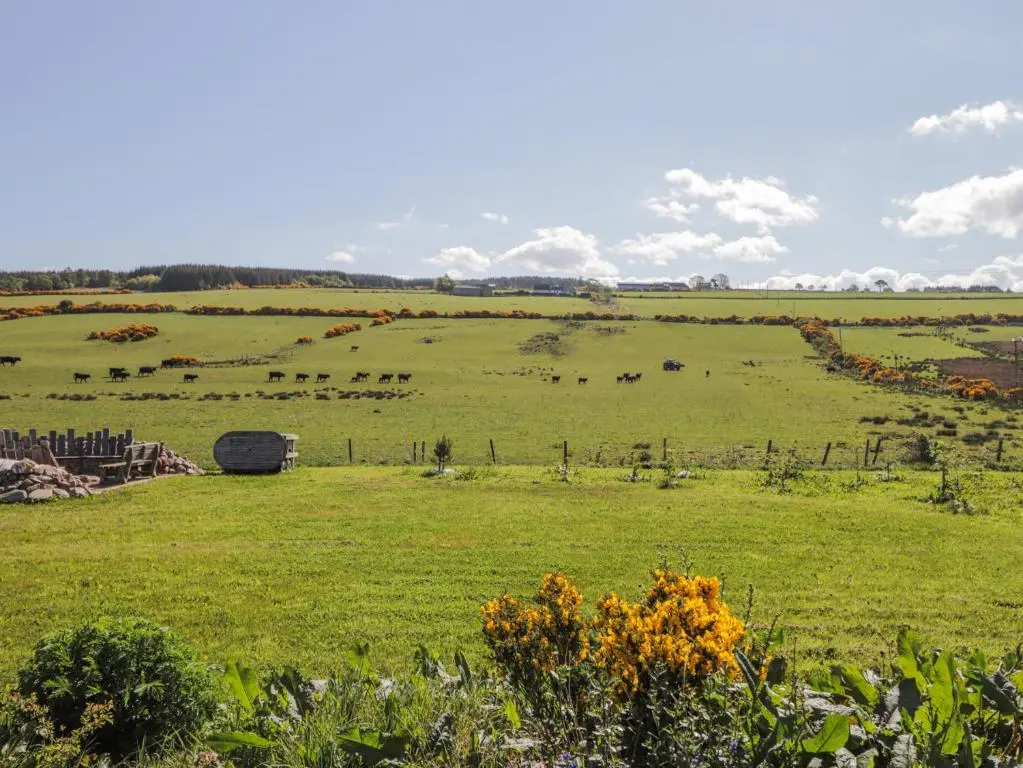 a field of green grass with cows in the distance at Easter Blervie in Forres