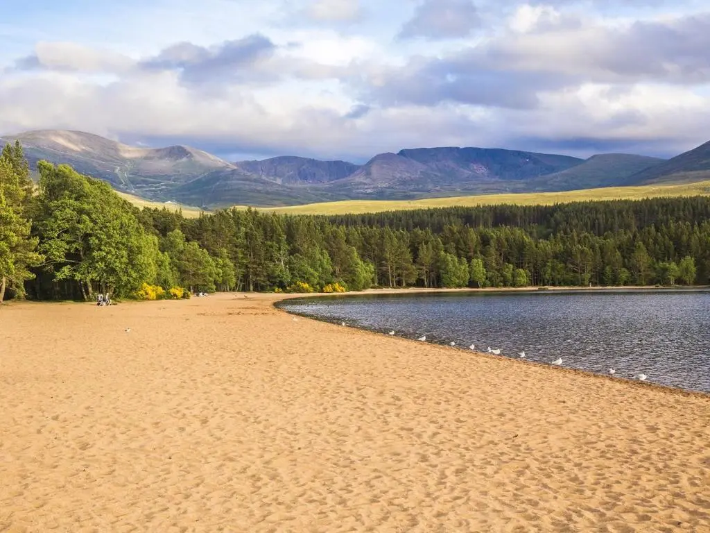 a sandy beach next to a body of water at 4 Bed in Tomintoul 46162 in Tomintoul