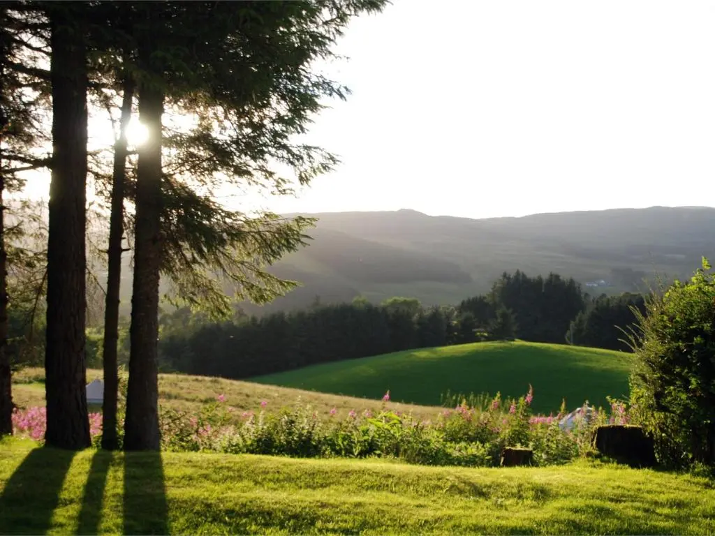 a view of a hill with trees and flowers at 5 Bed in Blacklunans CA409 in Cray