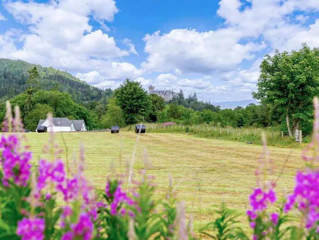a field with pink flowers in a field with a house at 1 Bed in Balblair 89058 in Culrain