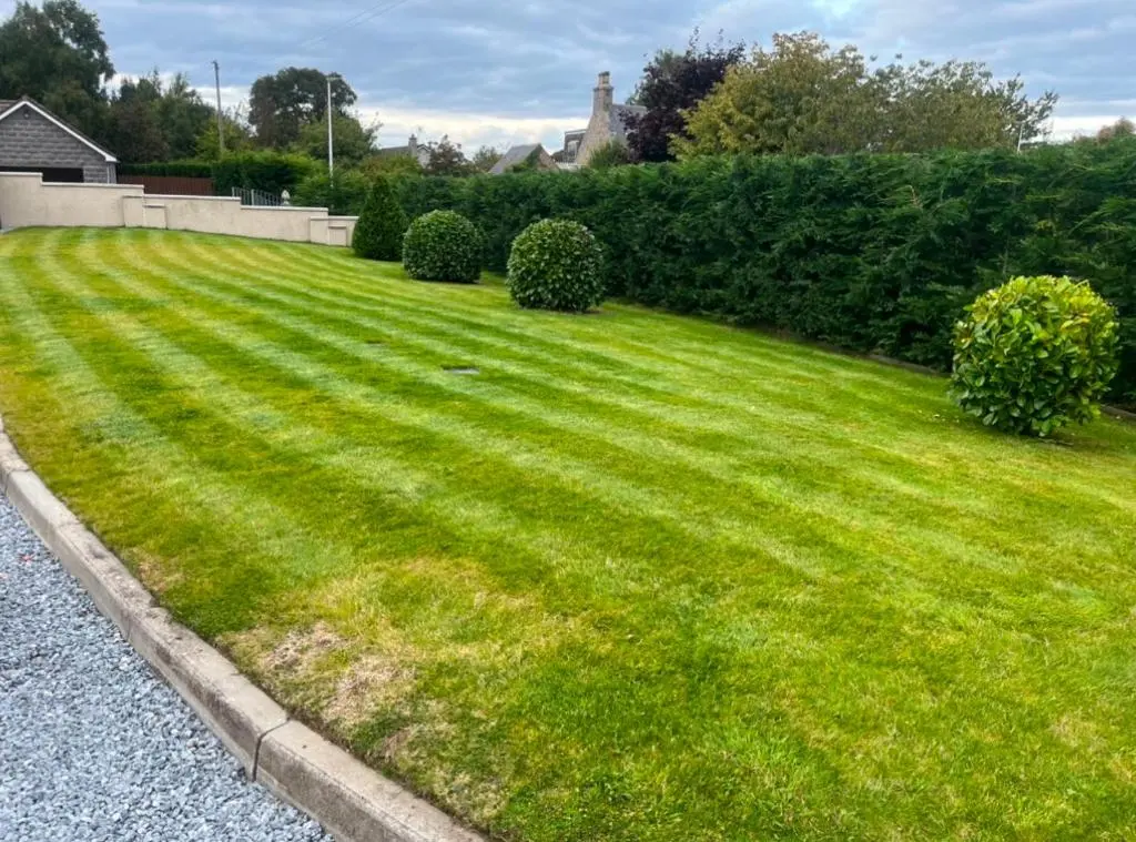 a large yard with green grass and bushes at Beldorny in Kingston