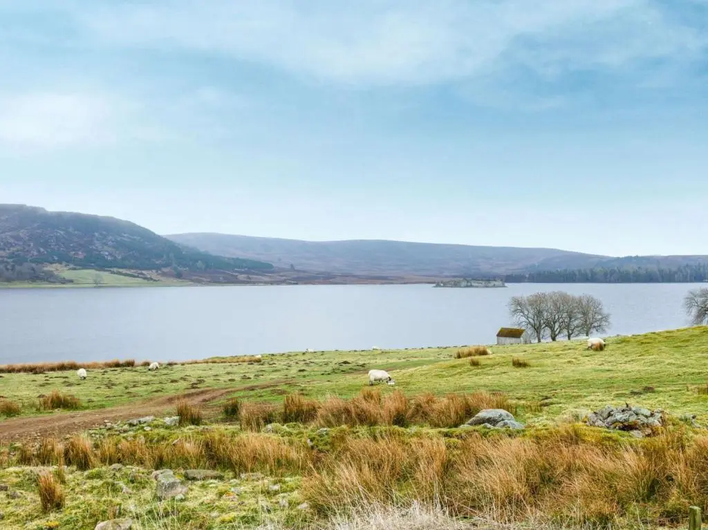 a group of animals grazing in a field next to a lake at 4 Bed in Grantown-on-Spey CA383 in Aitnoch