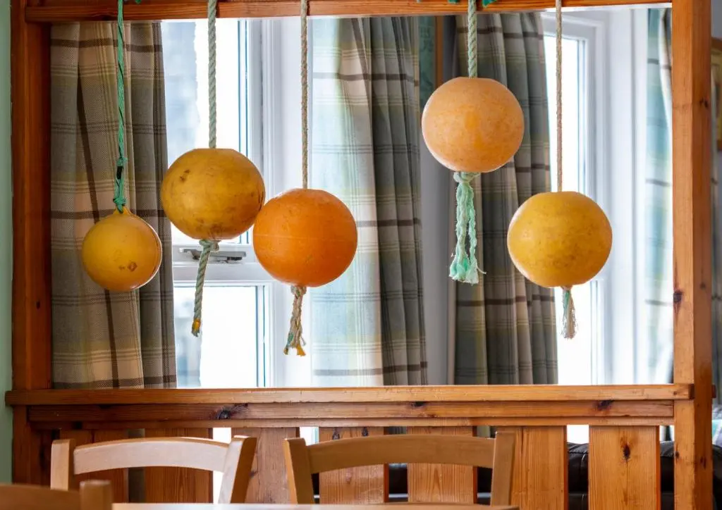 a group of oranges hanging from a window at Ullapool Youth Hostel in Ullapool