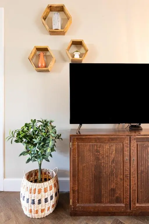 a television on a wooden cabinet with a potted plant at Ness at the Park in Inverness