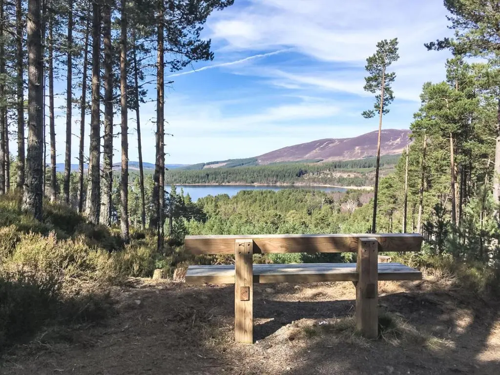 a wooden bench sitting on a hill overlooking a lake at Villa Osprey House by Interhome in Nethy Bridge