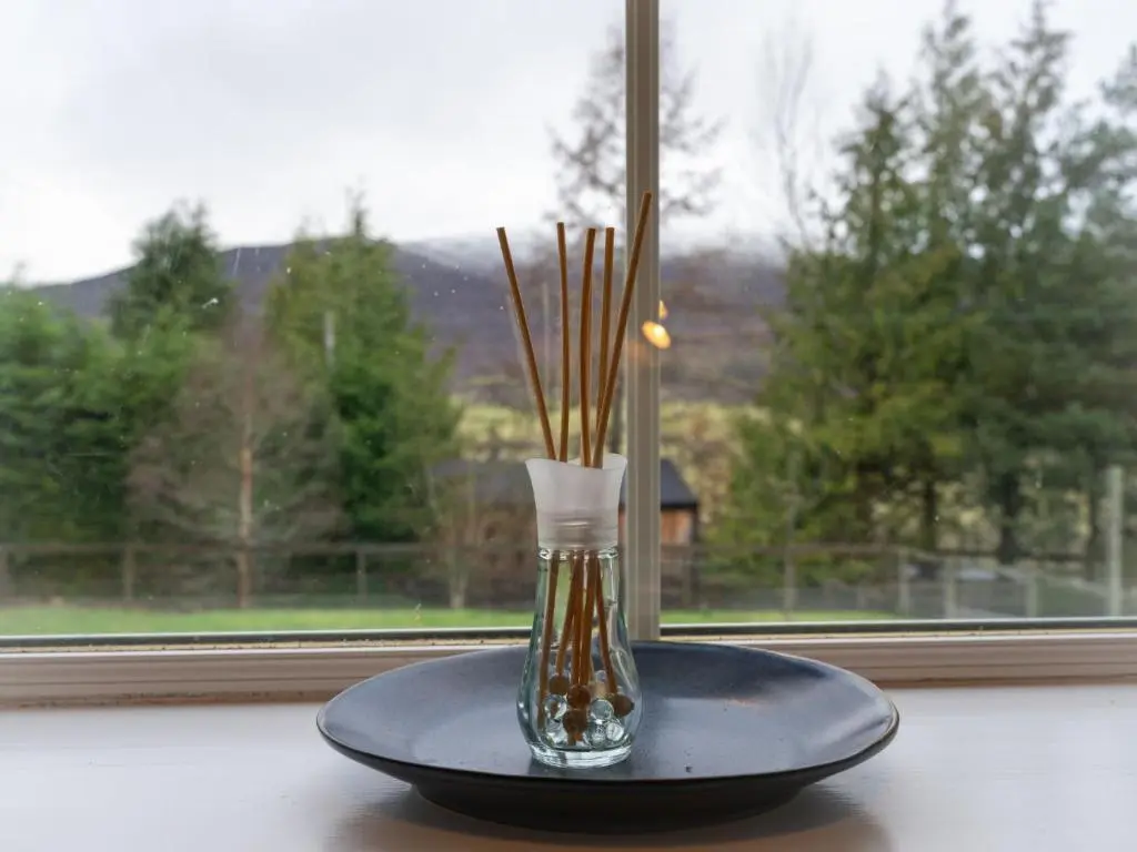 a vase with sticks in it sitting on a window sill at Holiday Home 2 Railway Cottage by Interhome in Aviemore