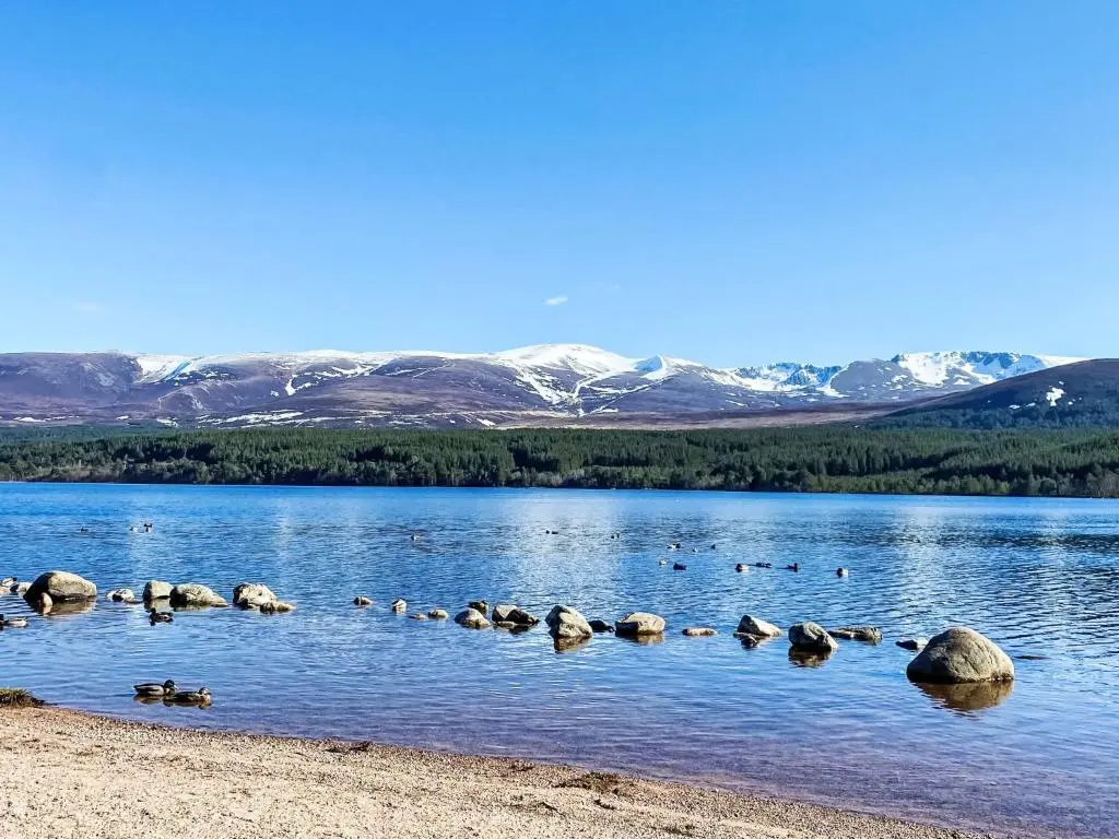 a group of ducks swimming in a lake with mountains at Holiday Home 2 Railway Cottage by Interhome in Aviemore