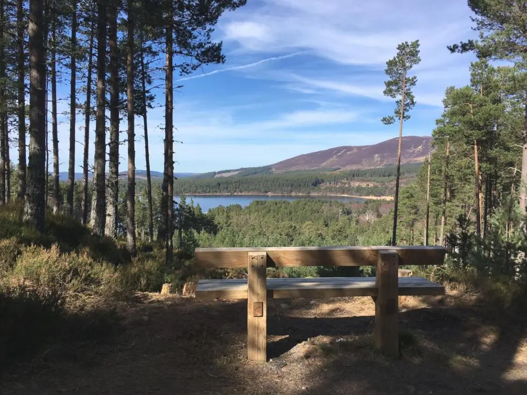 a wooden bench sitting on the side of a hill overlooking a lake at Holiday Home Lower Curr by Interhome in Skye of Curr