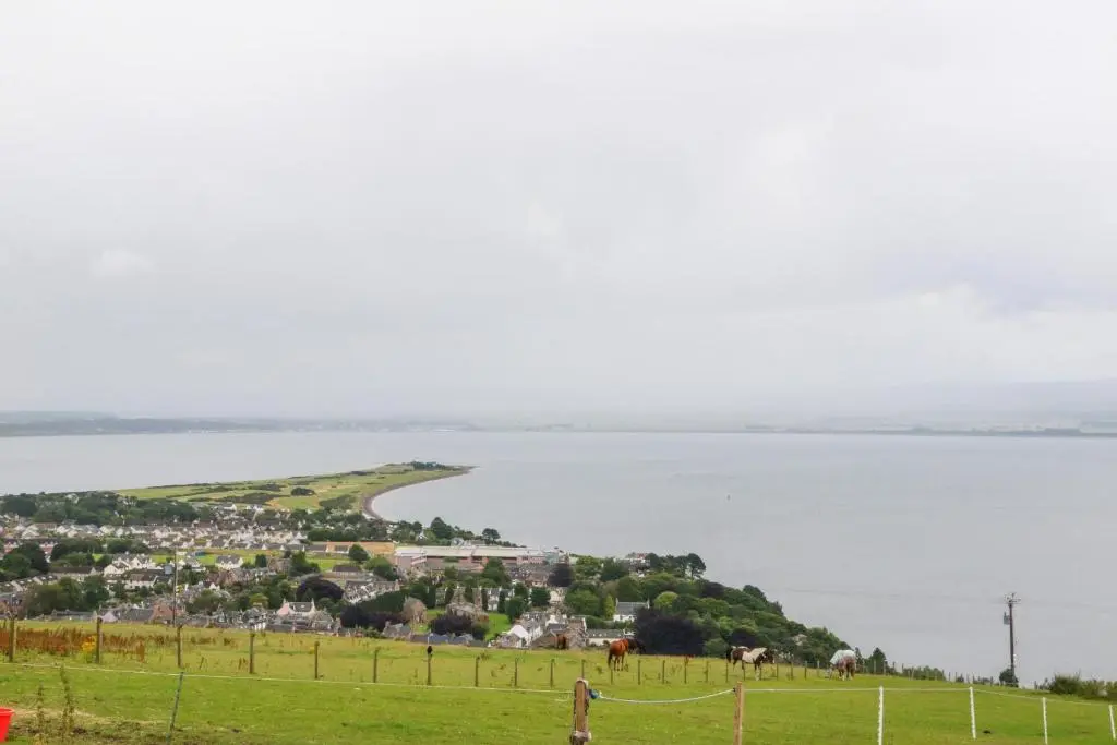 a group of horses grazing in a field next to the water at The Milk House in Fortrose