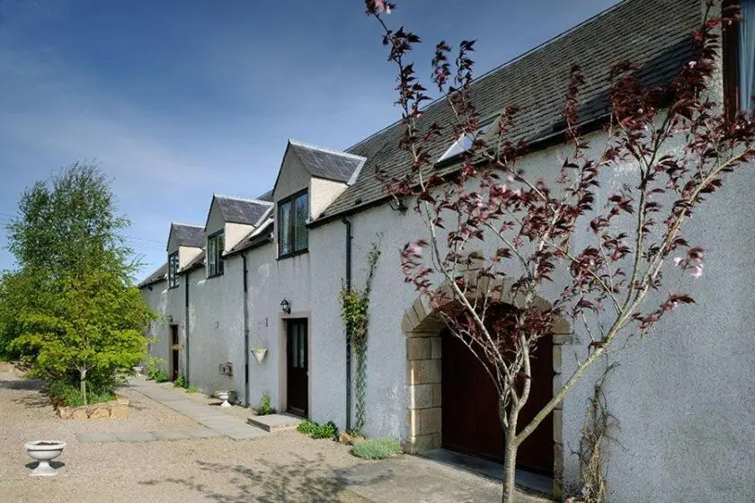 a white building with a tree in front of it at Mackenzie in Belmaduthy