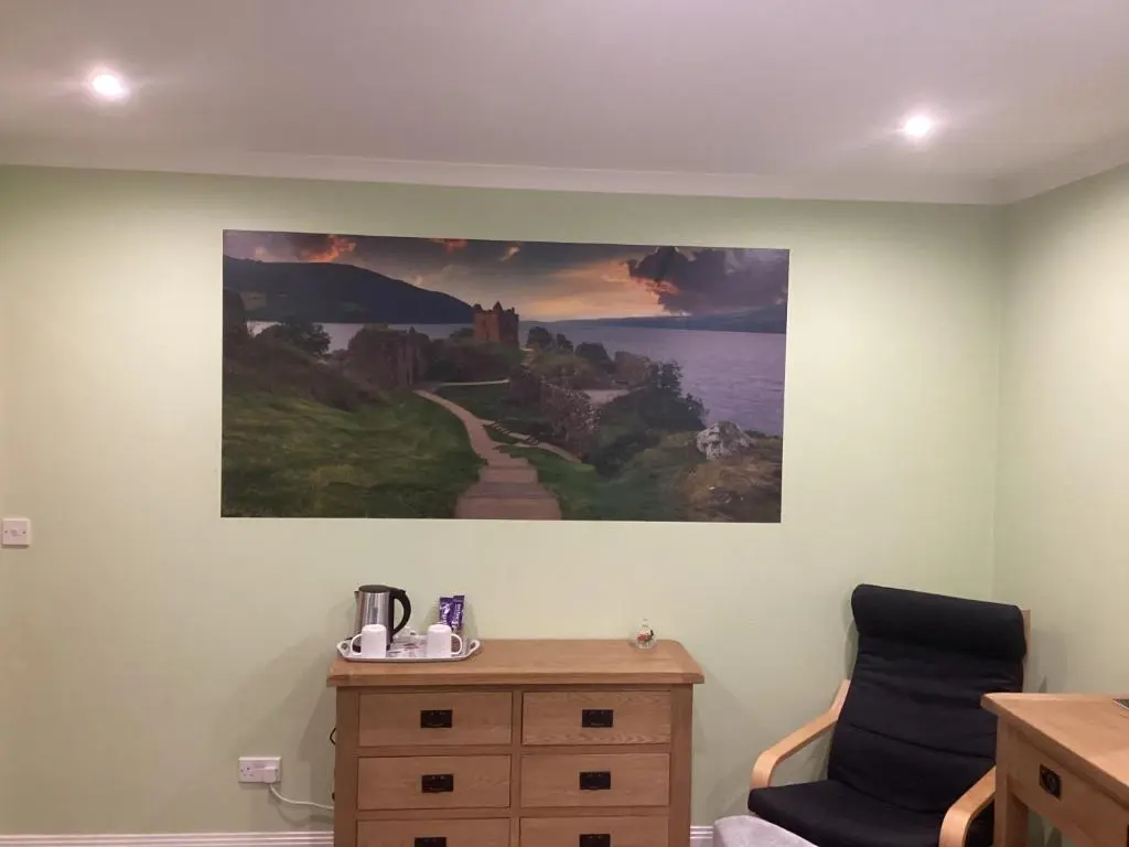 a painting hanging on the wall of a room at Taigh Sealladh F\u00e8idh B&B in Fort Augustus