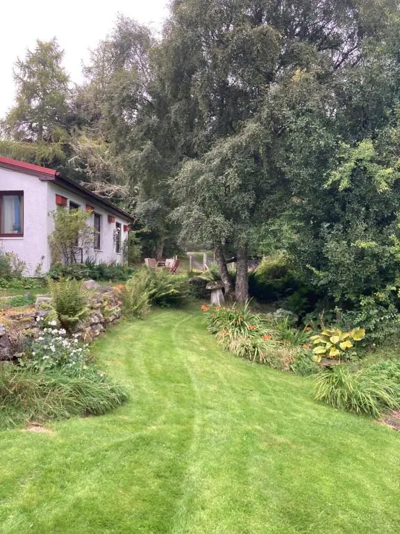 a yard with a house and a tree at Invercassley cottage in Lairg